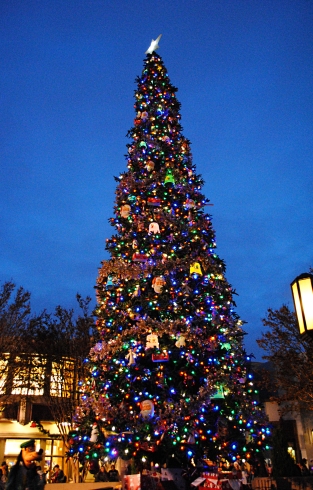 5 Ways to Celebrate Christmas at Disney's California 