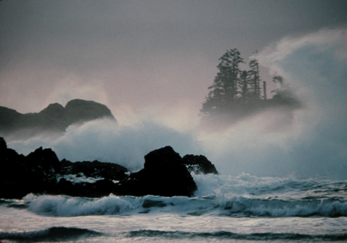 Tofino: Storm Watching At The Edge Of The World - TravelMamas.com