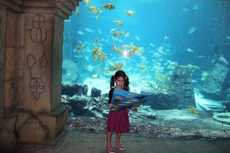 The Dig aquarium at Atlantis Bahamas