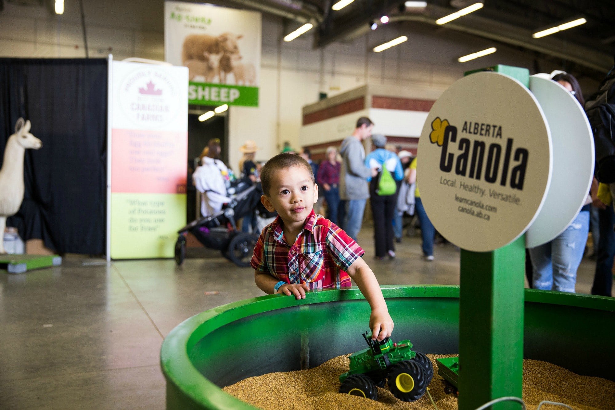 Agriculture Discovery Zone ~ Calgary Stampede with kids