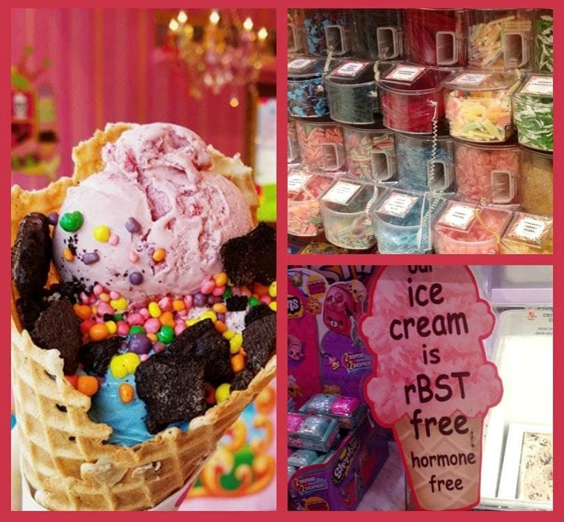 Sloan's Ice Cream pleases the palates of visitors to Palm Beach County ~ Fun Things to Do in Palm Beach County with Kids