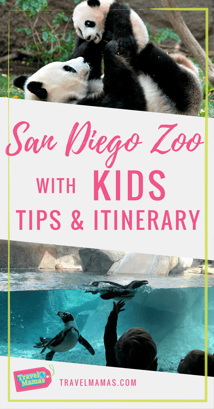 Best San Diego Zoo With Kids Tips & Itinerary - TravelMamas.com