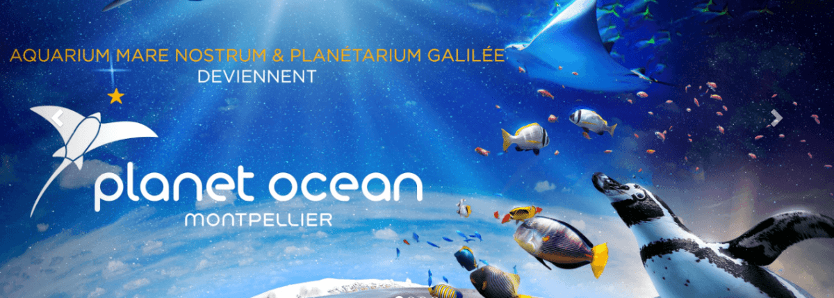 PlanetOcean Montpellier allows families to explore both sky and sea 