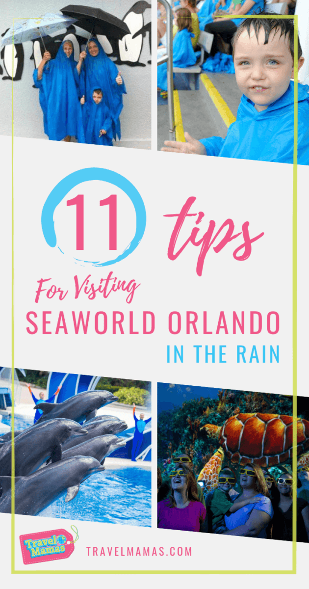 Tips for Visiting SeaWorld Orlando in the Rain