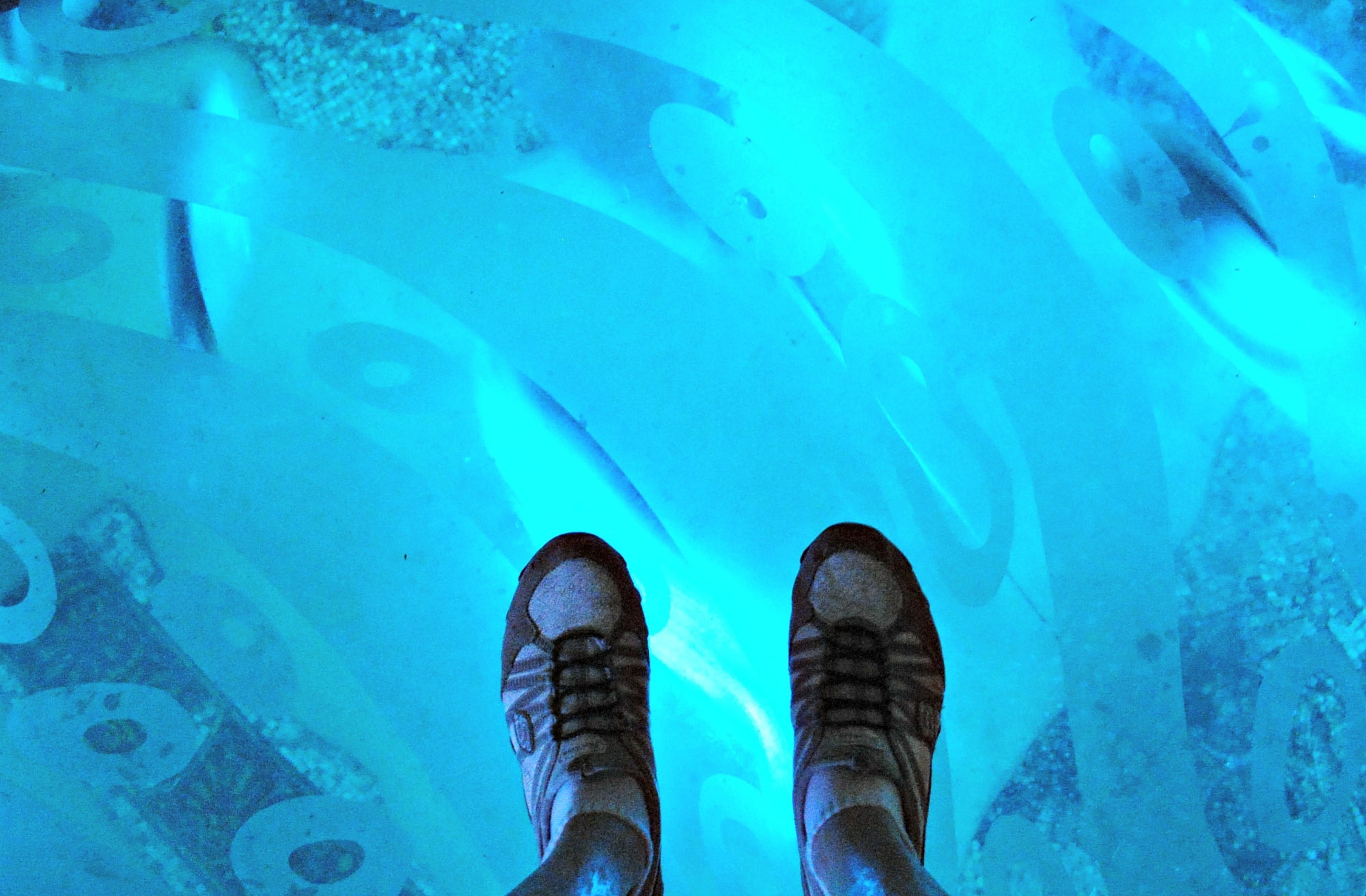 My very wet feet standing on top of an in-floor fish tank at the Jewel of the Sea Aquarium at SeaWorld Orlando in the rain