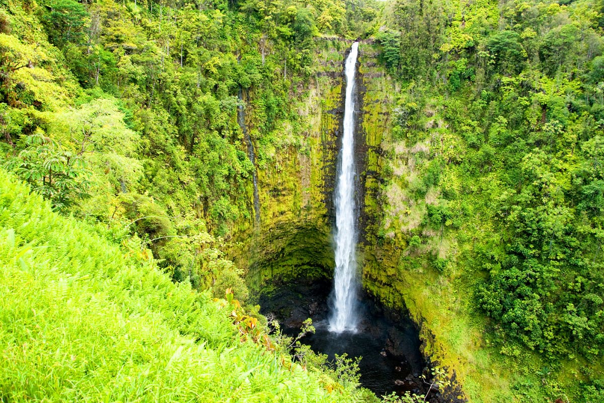 Akaka Falls near Hilo on the Big Island 