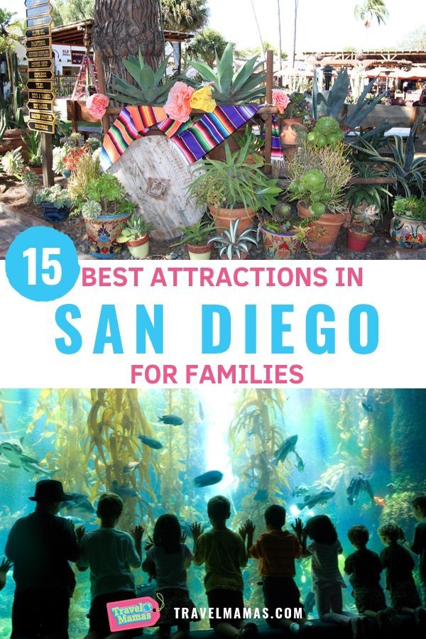 15 Best San Diego Attractions for Kids