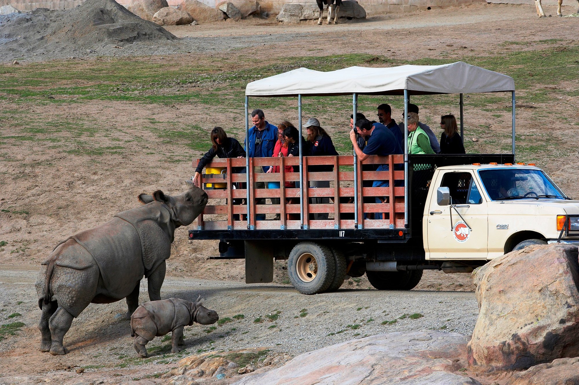 Safari Caravan at the San Diego Zoo Safari Park 