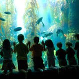Best San Diego Attractions for Kids