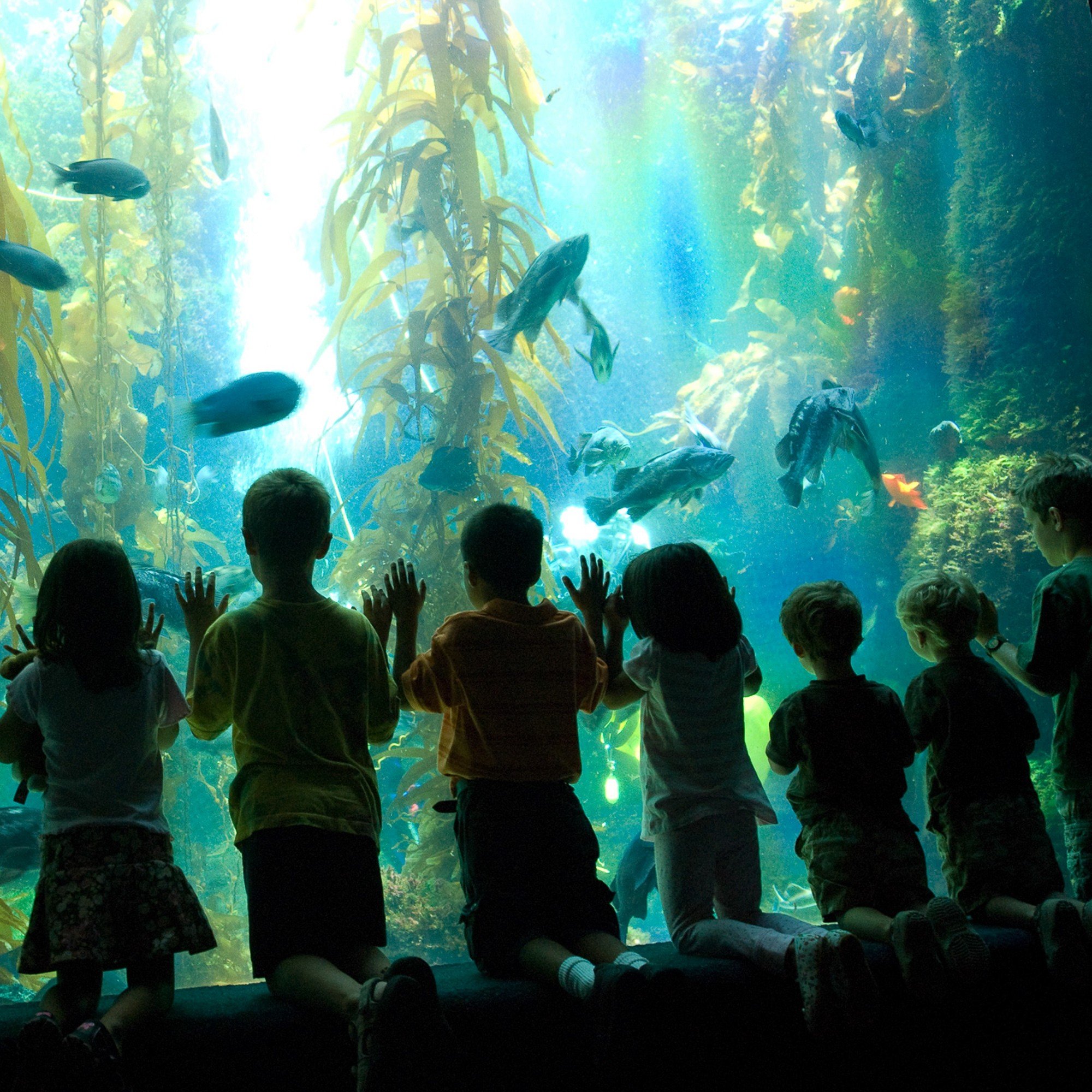 Best San Diego Attractions for Kids