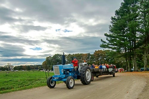 Tractor-pulled hay ride to the pumpkin patch at Wolfe's Neck Farm