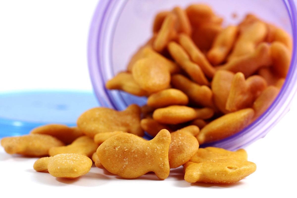 Goldfish cracker snacks