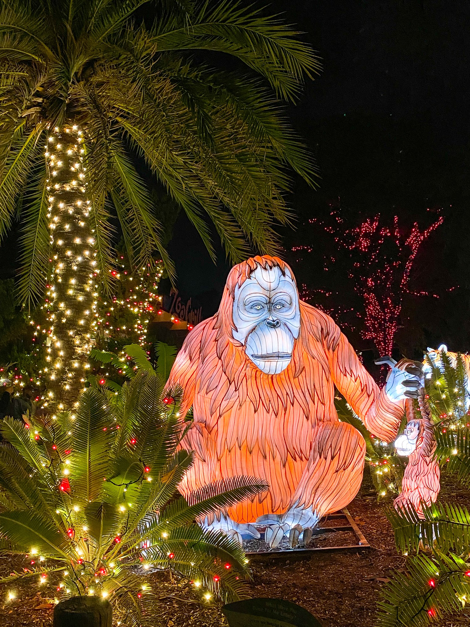 LA Zoo Lights orangutan