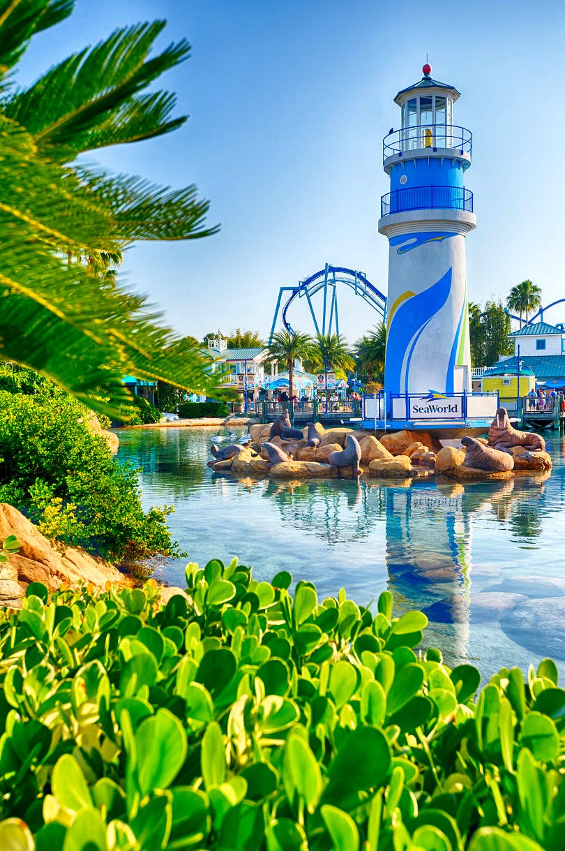 5 Must-See SeaWorld Orlando Attractions for Babies and Toddlers