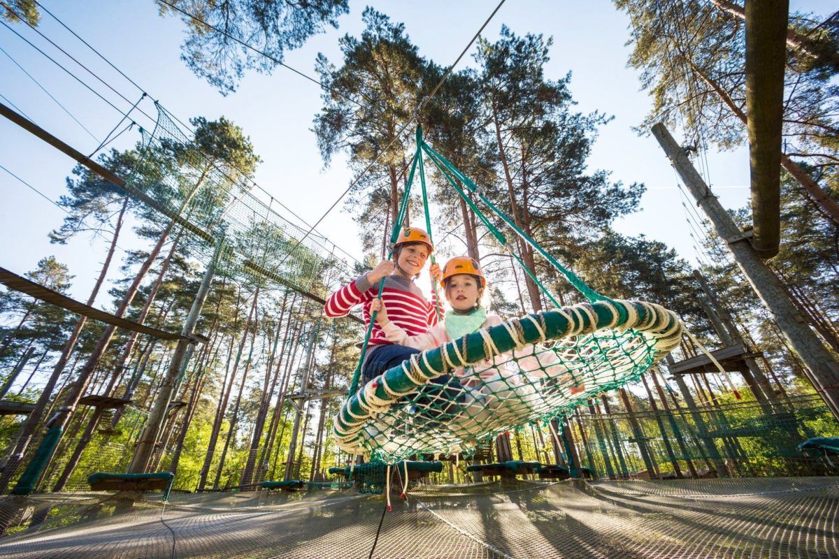 Kids' ropes course and swing 