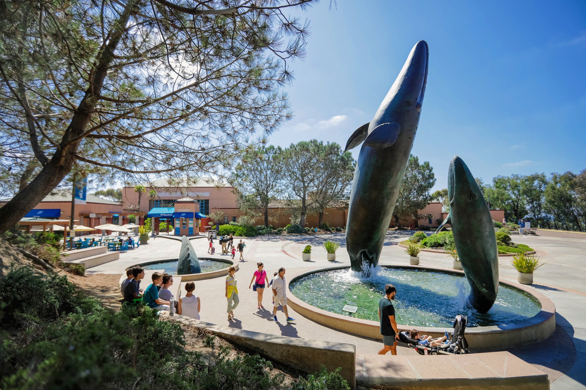 "The Legacy" Whale Sculpture Fountains at Birch Aquarium in La Jolla