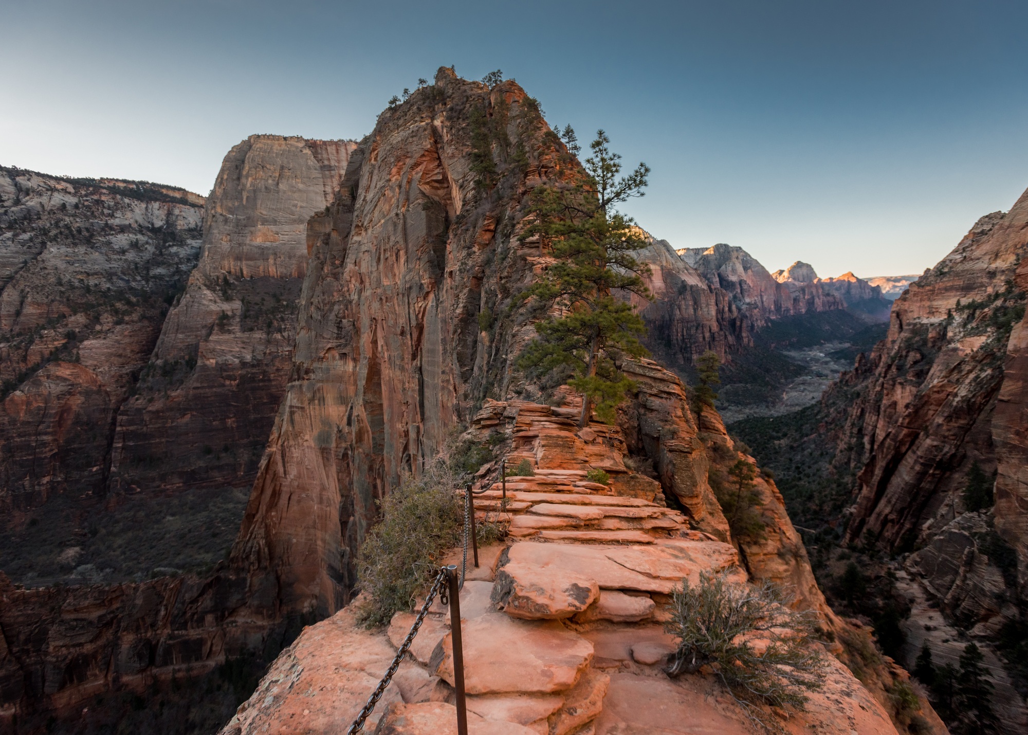 The Straight and Narrow of Angels Landing in Zion National Park