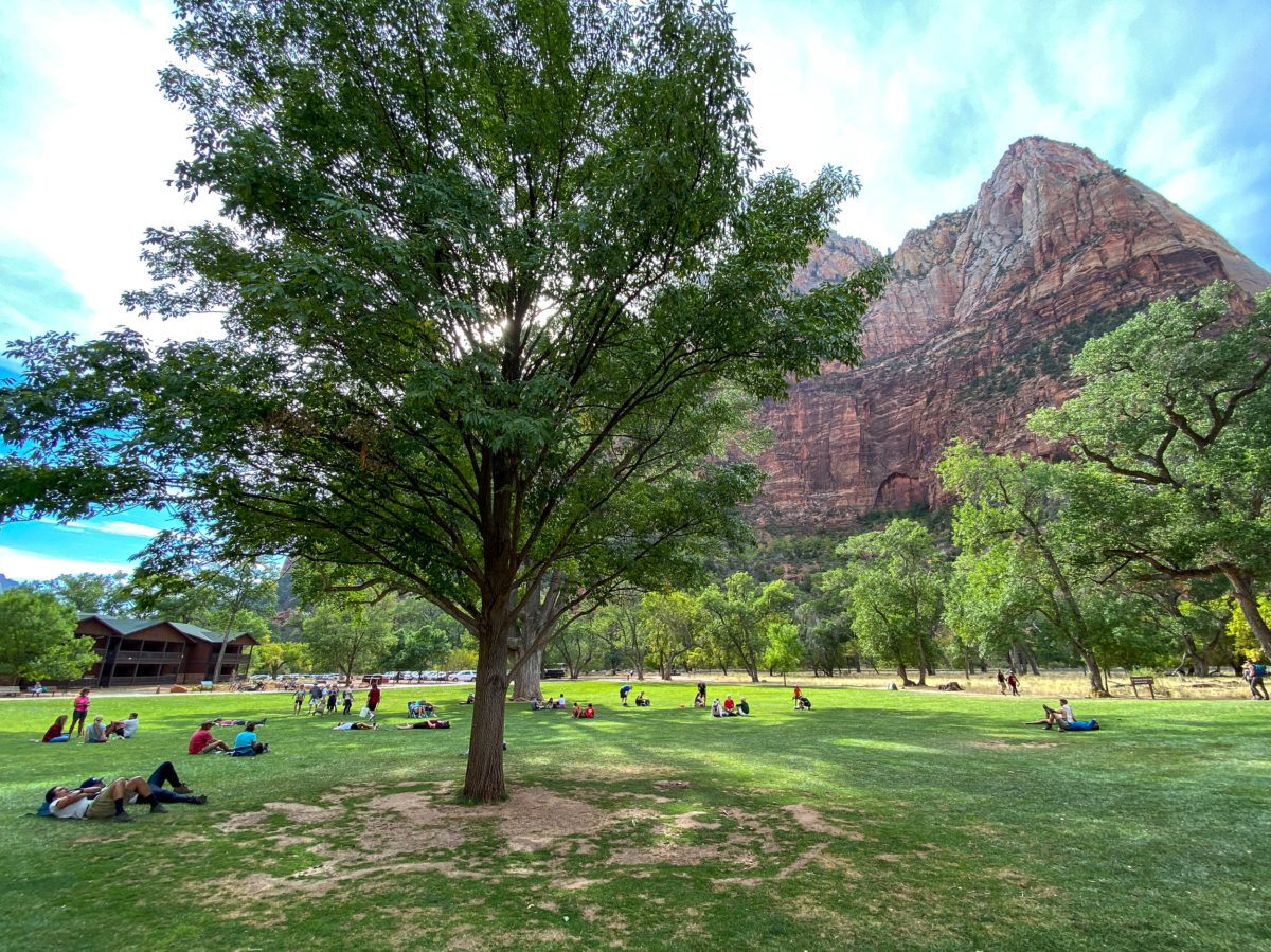 Grassy lawn in front of Zion Lodge