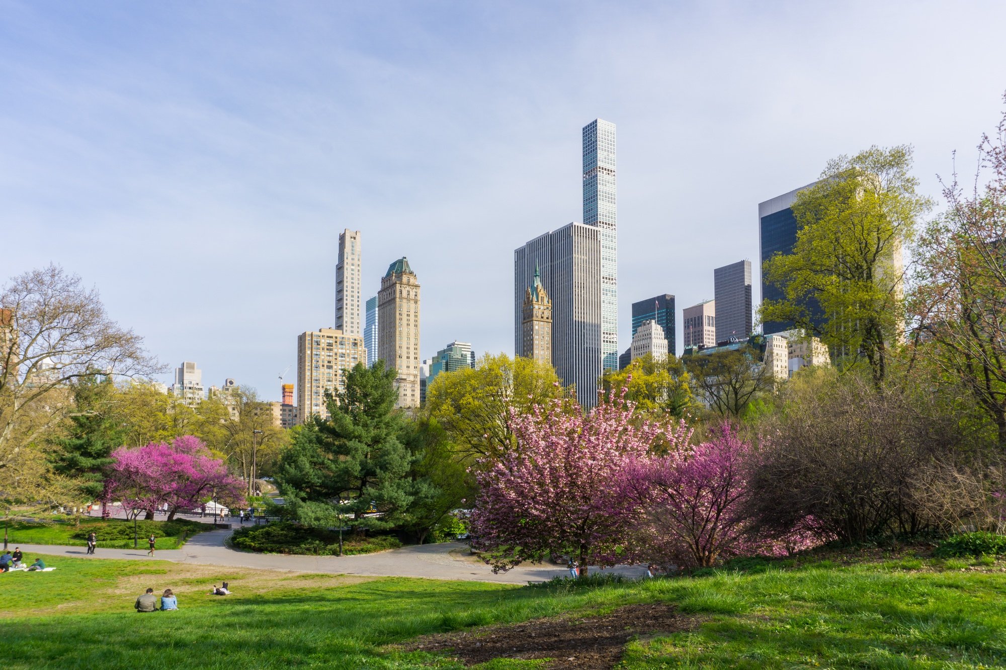 Central Park in spring 