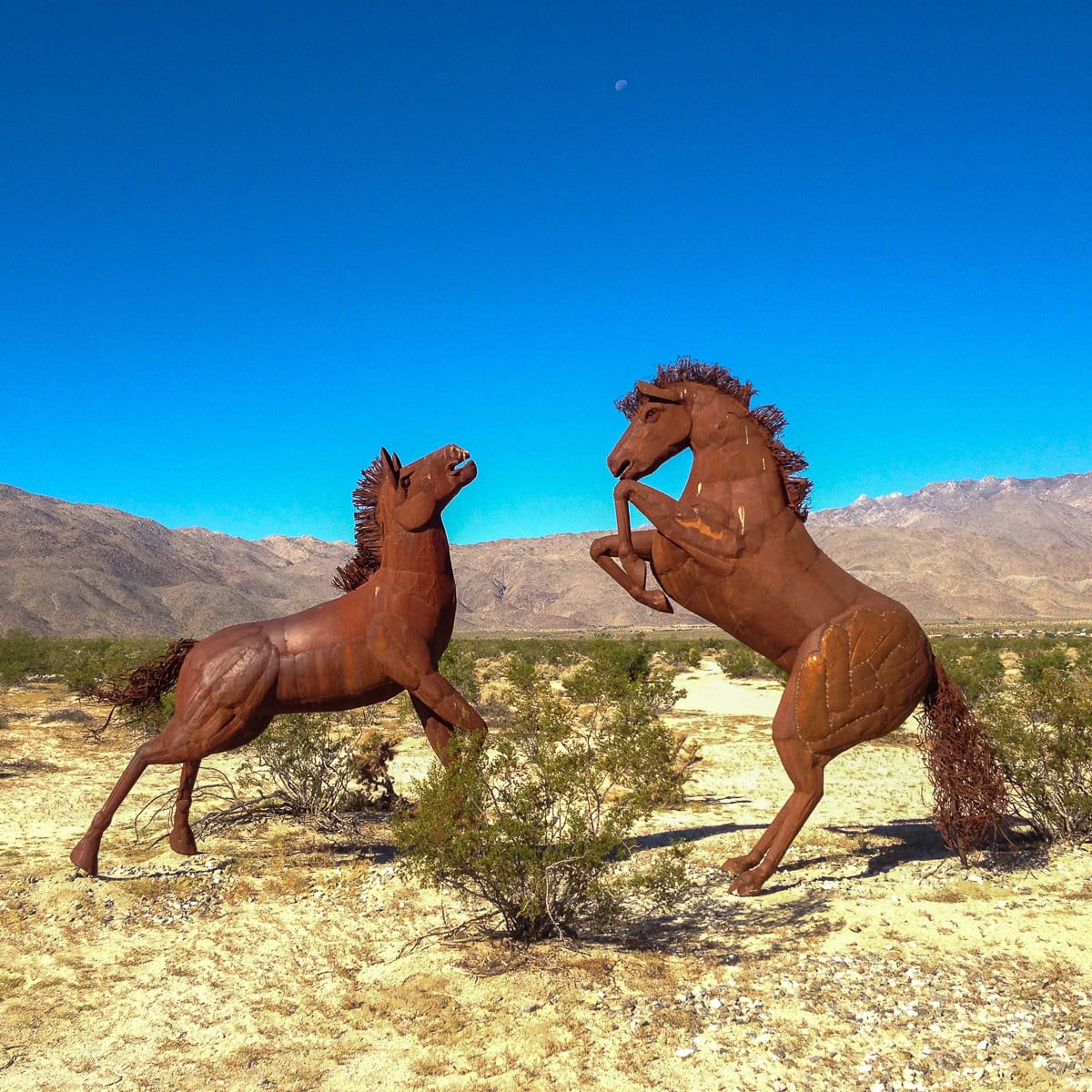 Borrego Springs, California