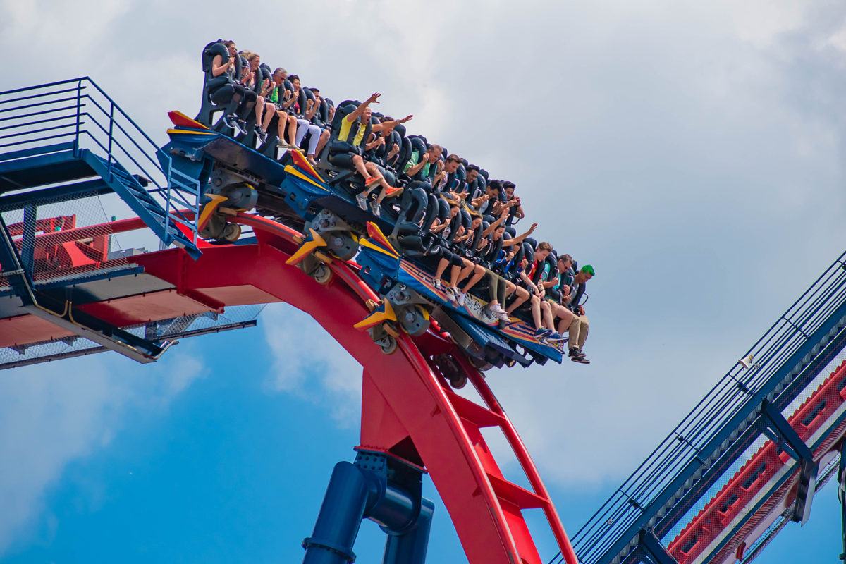 Sheikra roller coaster at Busch Gardens