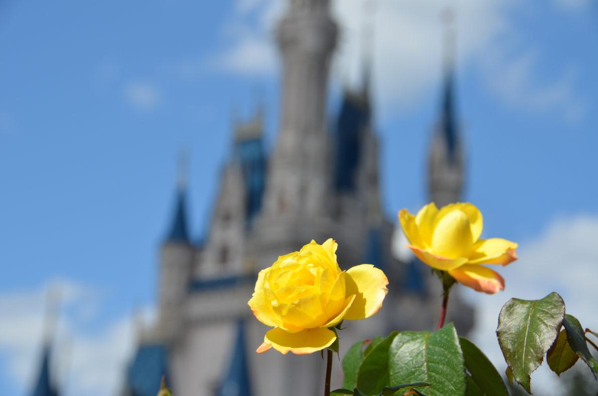 Cinderella Castle, the icon of Magic Kingdom Park at Walt Disney World Resort 