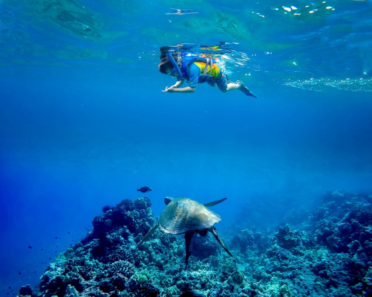 Molokini snorkel tour on Maui with kids