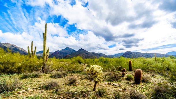 17 Best Outdoor Activities in Scottsdale (Arizona)