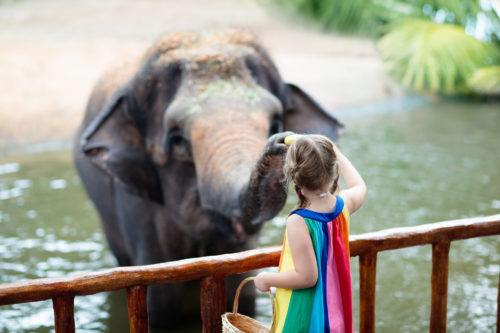 10 Best Things to Do on a Singapore Family Vacation