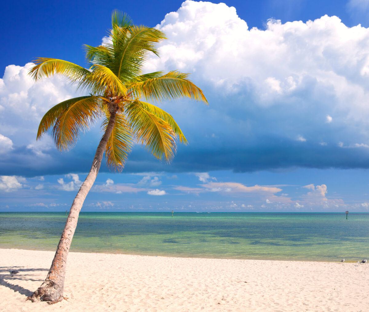 All great Florida family vacations include beach time, like at this sandy spot in Key West