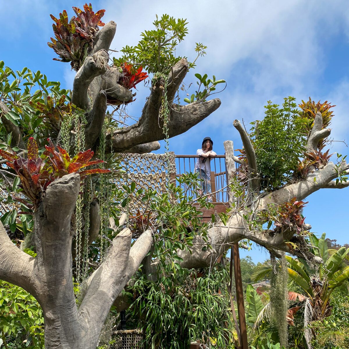 San Diego Botanic Garden with Kids – An Enchanting Place for Families