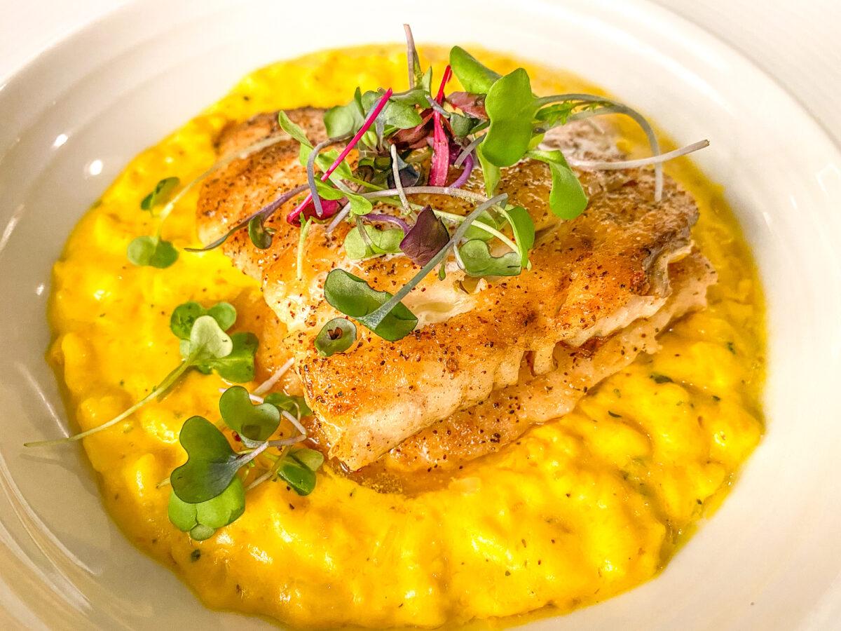 Fish of the Day served with butternut squash risotto at Sixty-One Prime Restaurant in Duck Key, Florida