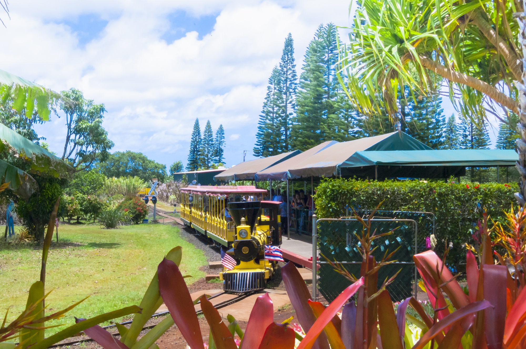 Best Things To Do In Oahu With Kids | 11 Kid-Friendly Activities