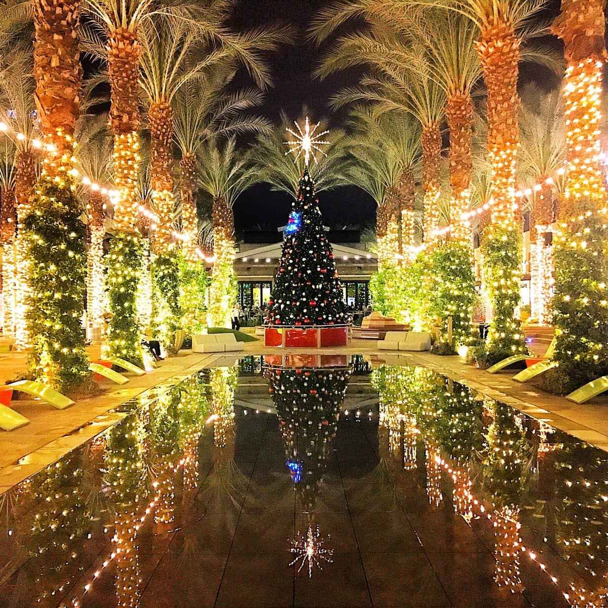 33+ Scottsdale Christmas Activities & Winter Holiday Events