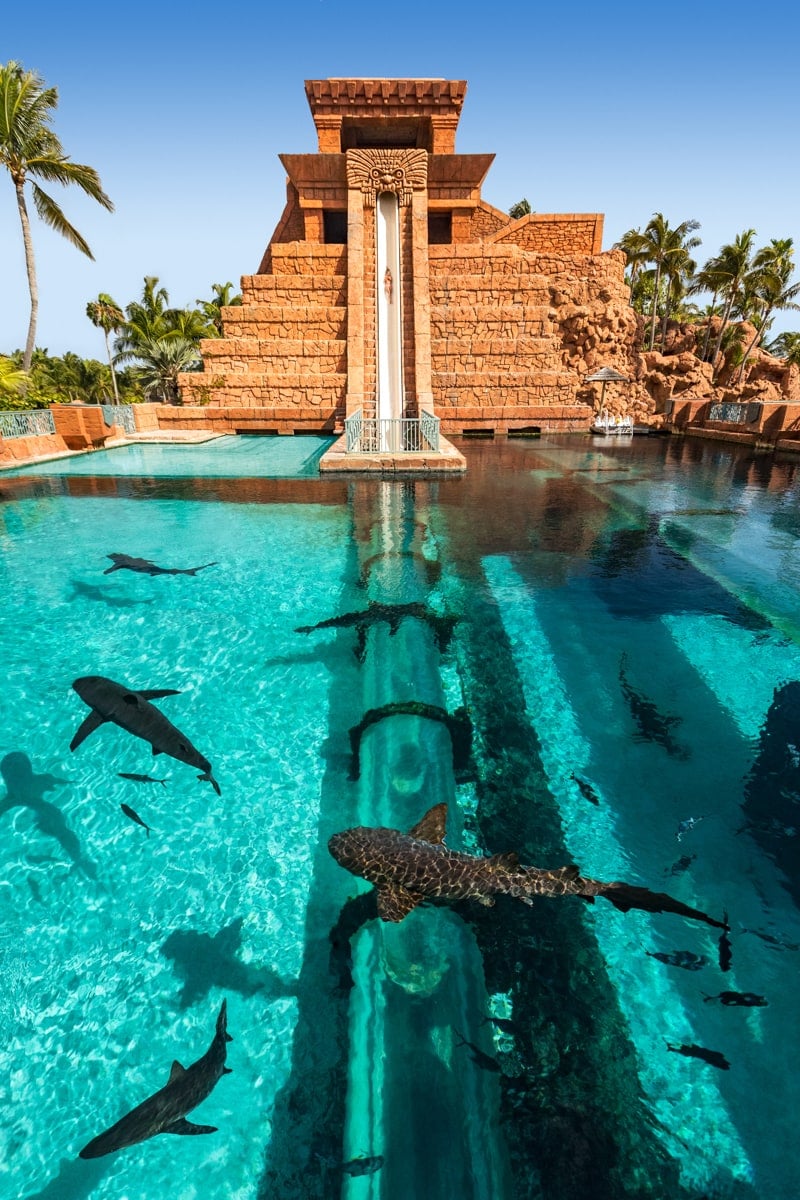 Mayan Temple Leap of Faith Waterslide