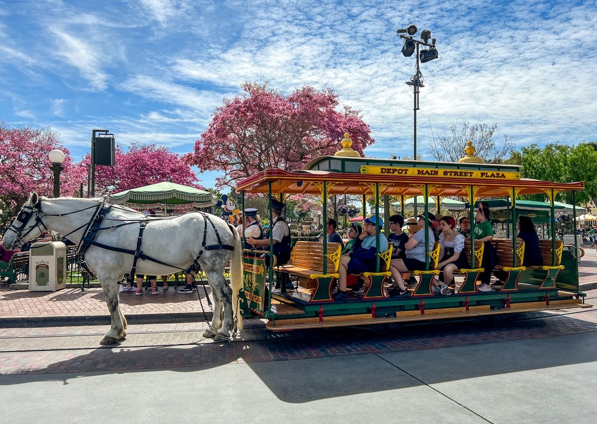 Romantic Horse-Drawn Street Car on Mainstreet USA at Disneyland 