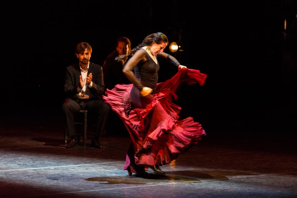 Flamenco performance 