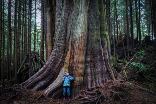 Vancouver Island with Kids: 21 Fun Activities for Families