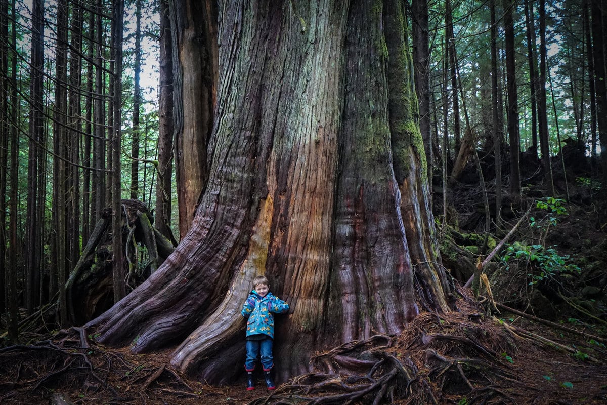 Hiking with kids in Pacific Rim National Park on Vancouver Island