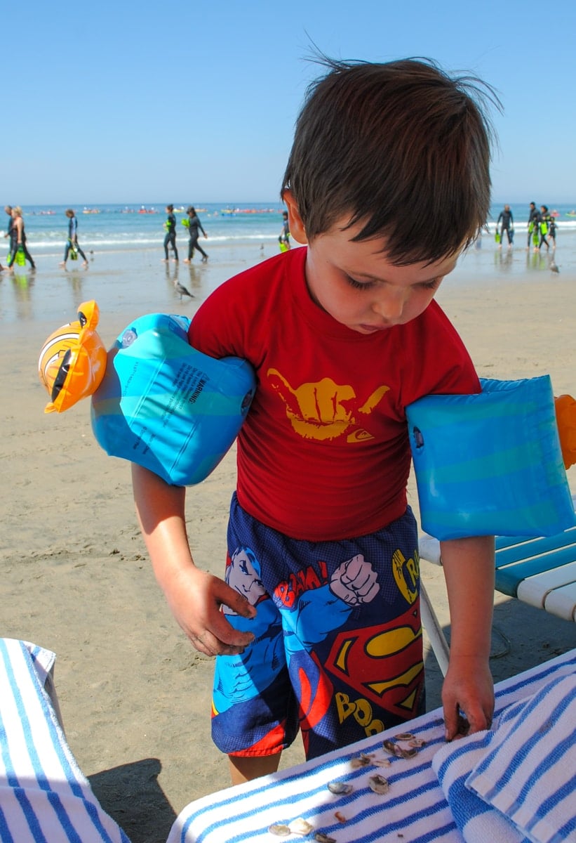 Little boy collection seashells at La Jolla Beach & Tennis Club on a family beach vacation