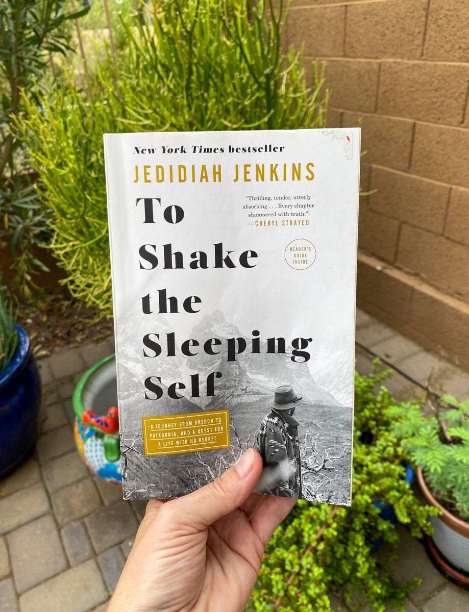 To Shake the Sleeping Self by Jedidiah Jenkins 