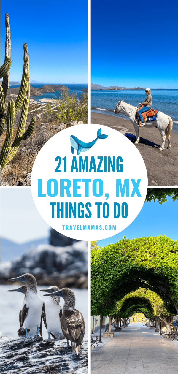 Best Things to Do in Loreto Mexico
