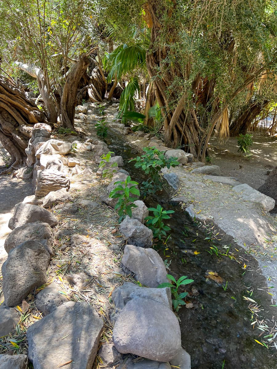Watering system used in San Javier's ancient orchards