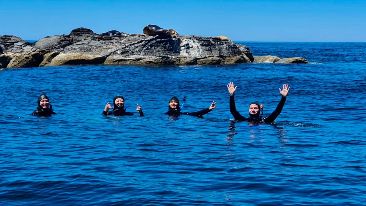 Snorkeling with sea lions in Loreto National Park 