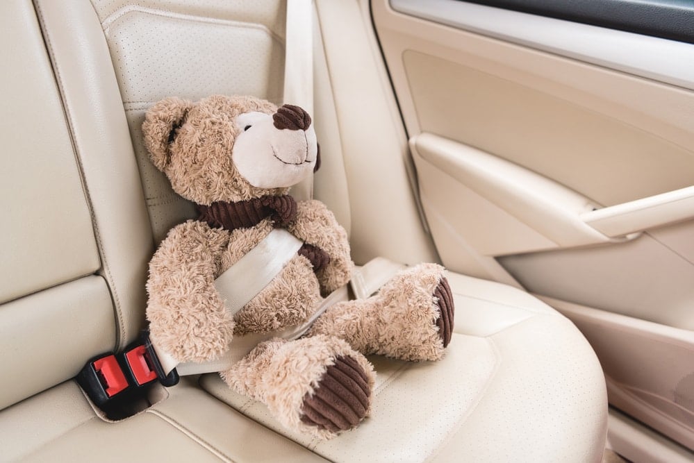 Teddy bear on a road trip
