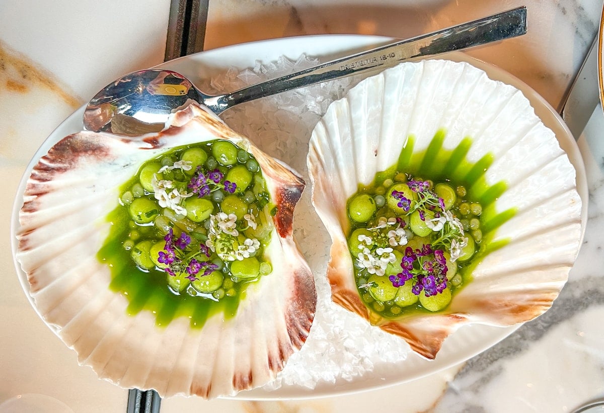 Hand Dived Scallops with green apple pearls at OTO Restaurant in Reykjavik, Iceland