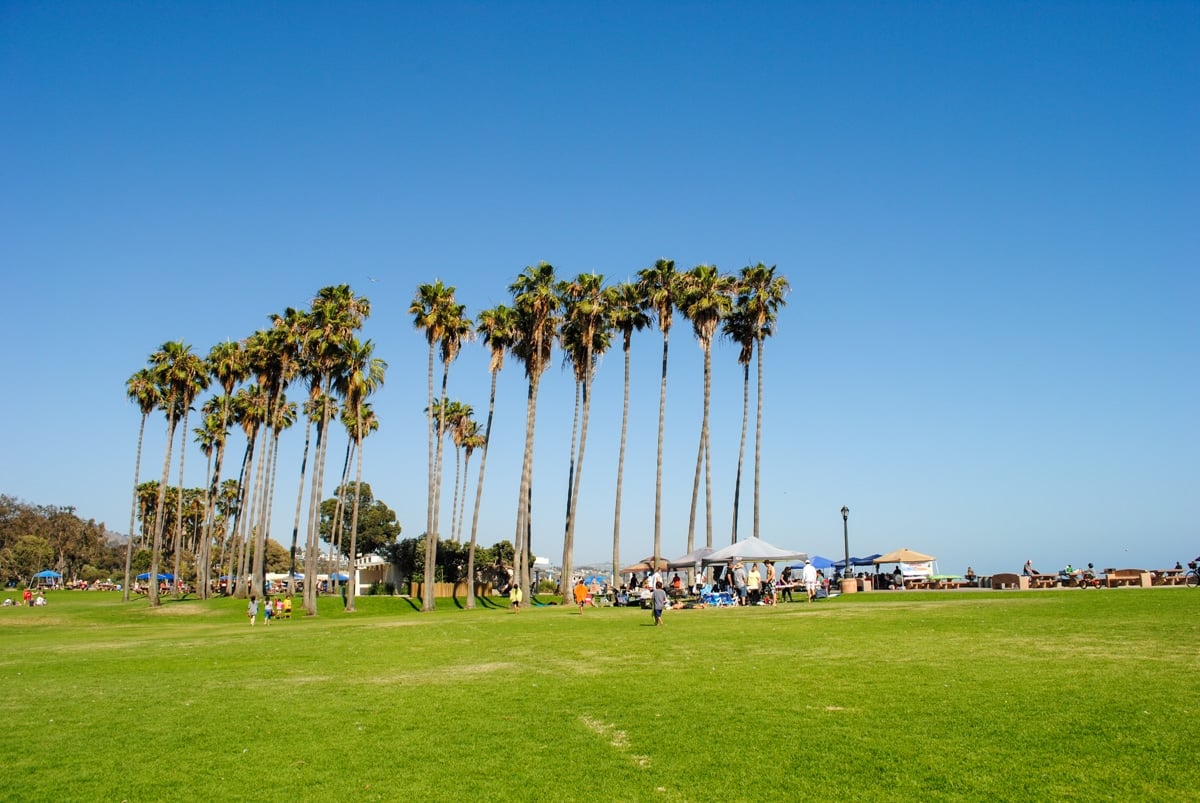 Palm trees and grass lawn at Doheny State Beach