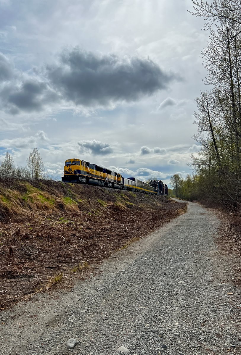 Alaska Railroad in Talkeetna