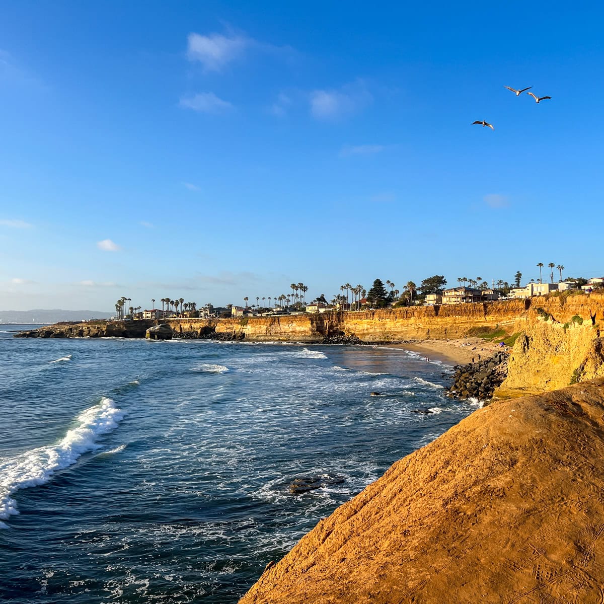 15 Best Places to Visit in California with Kids (2024)