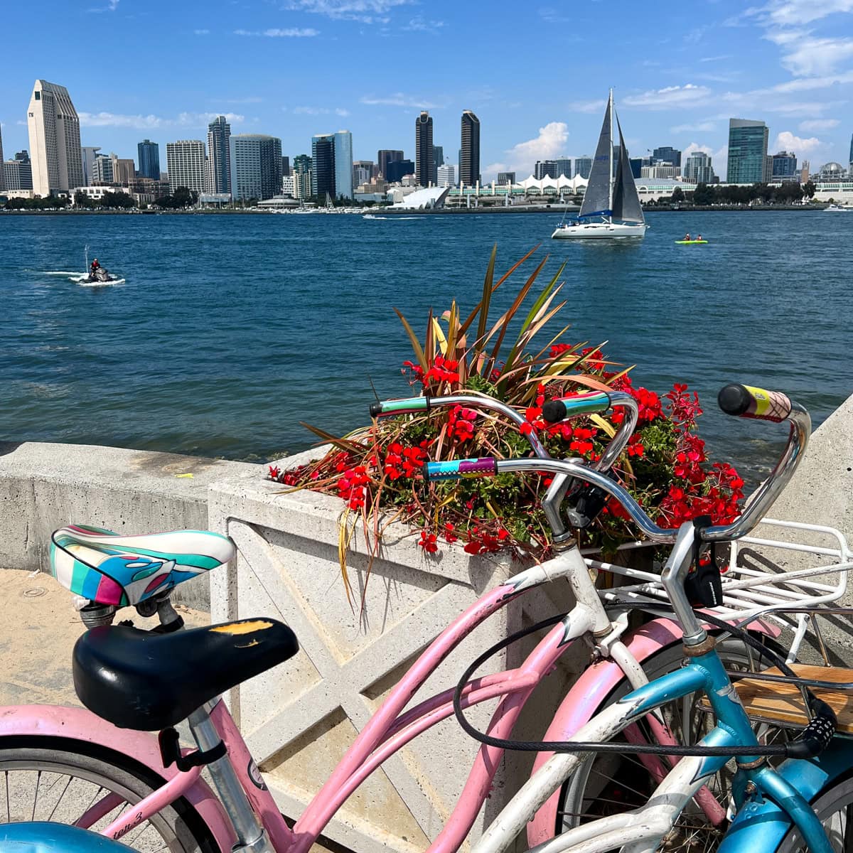 40+ BEST Things to Do in San Diego with Kids (2024)